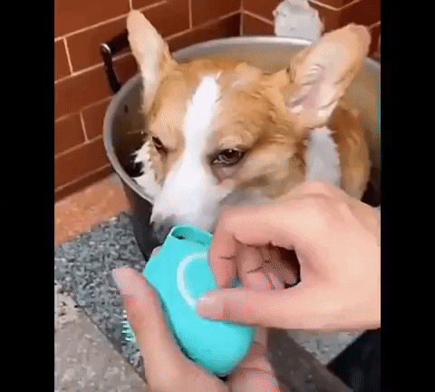 Cepillo dispensador de jabón baño de mascotas