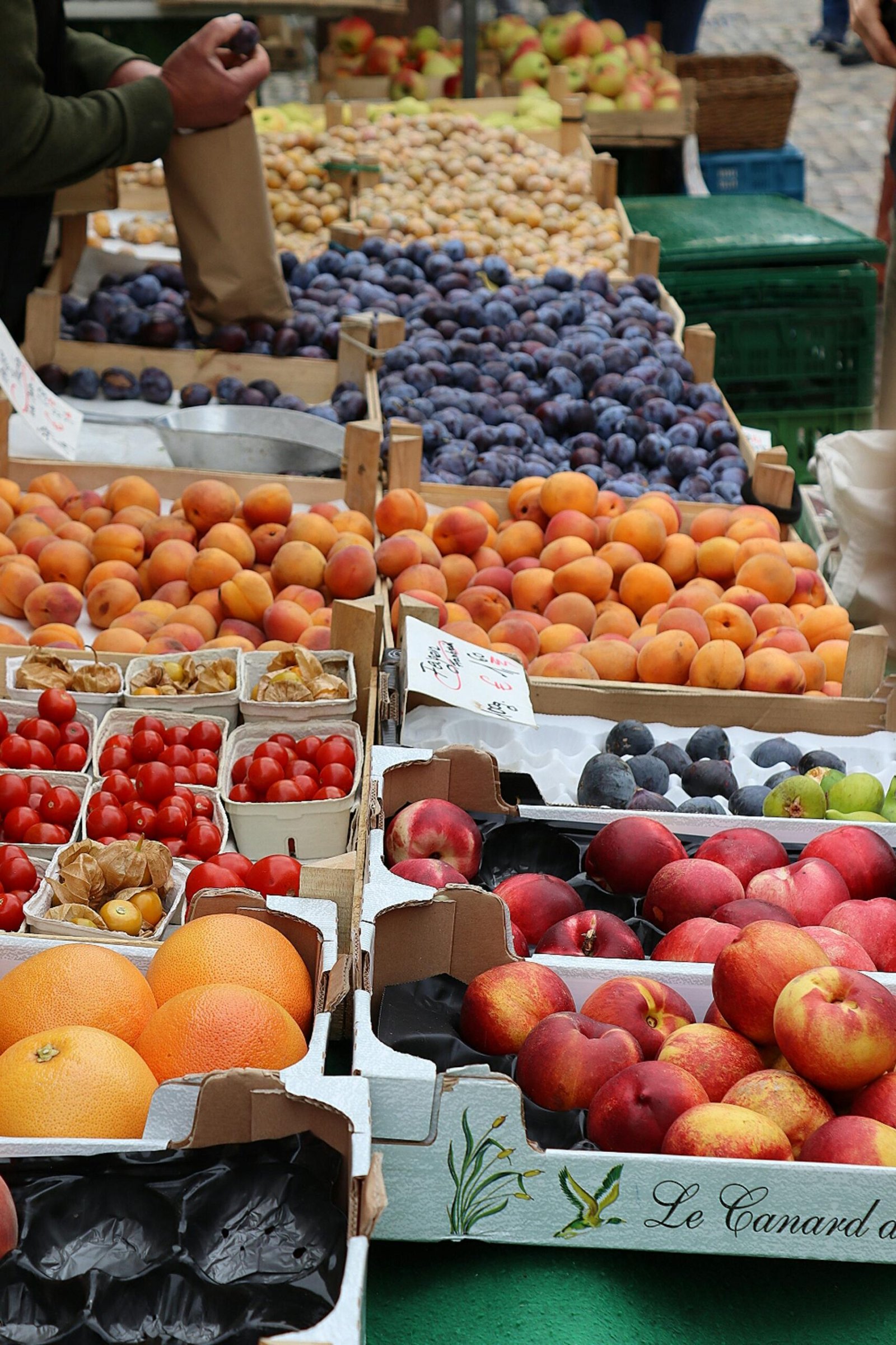 Frutas & Verduras